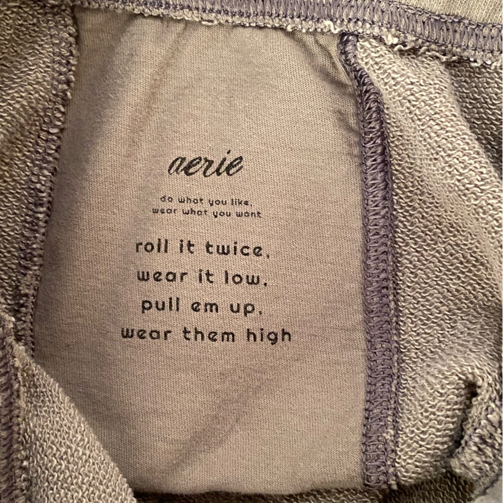 Aerie Green Sweatpants - Picture 4 of 6